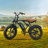 Ebike H9